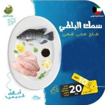 Tilapia fish - the big box